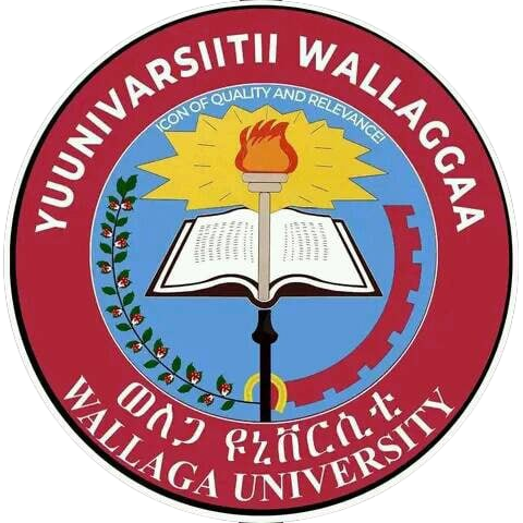 Wallaga University